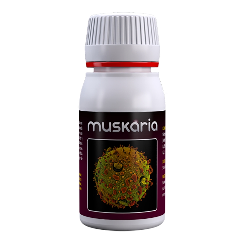MUSCARIA 60 ML