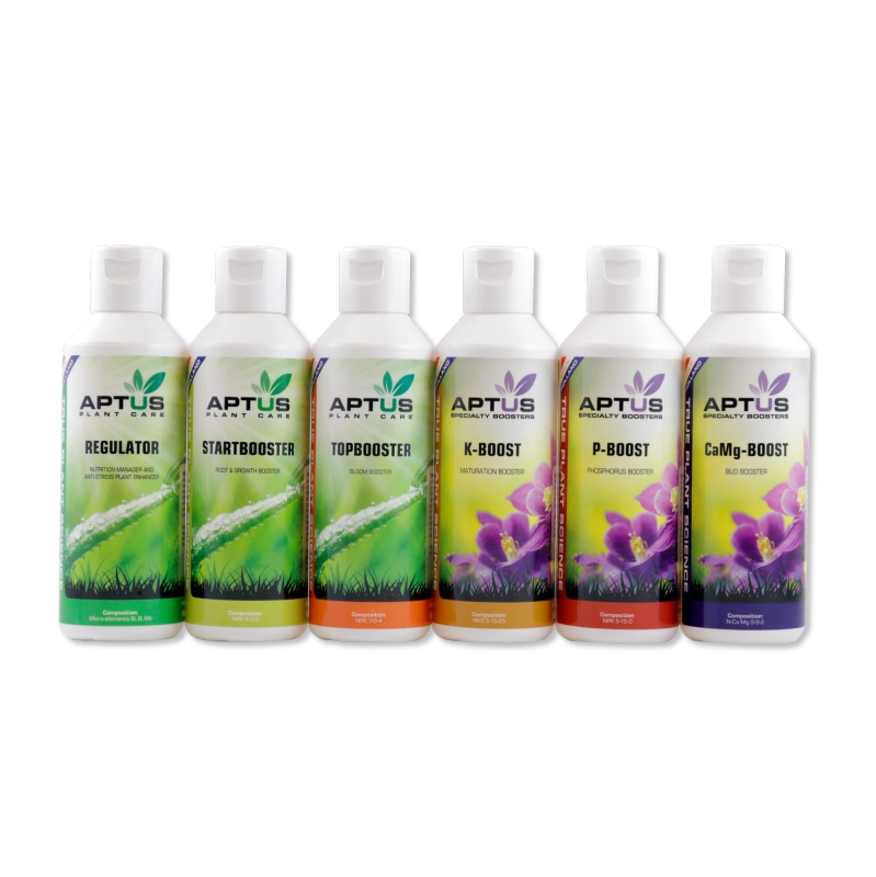 FRENCH LABEL INDOOR SET PRO 6 X VARIOUS