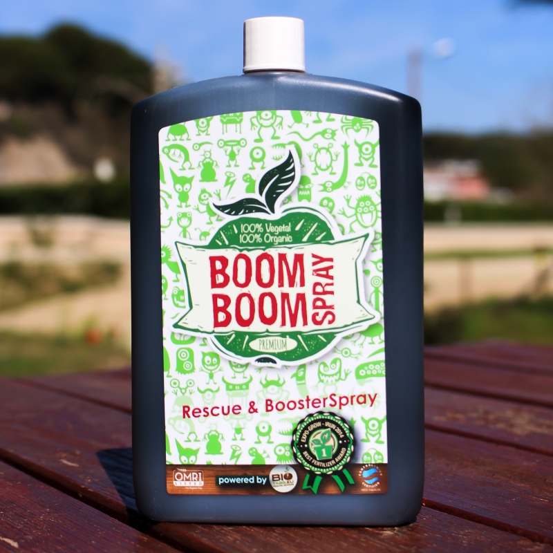 BOOM BOOM SPRAY BOTTLE 250ML
