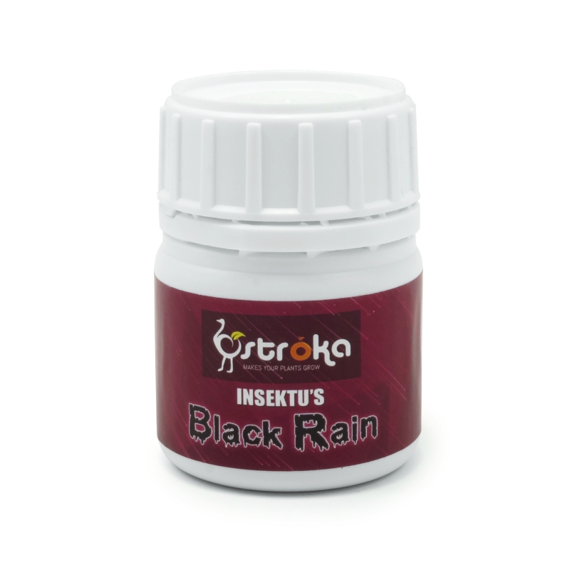 BLACK RAIN 100 ML.