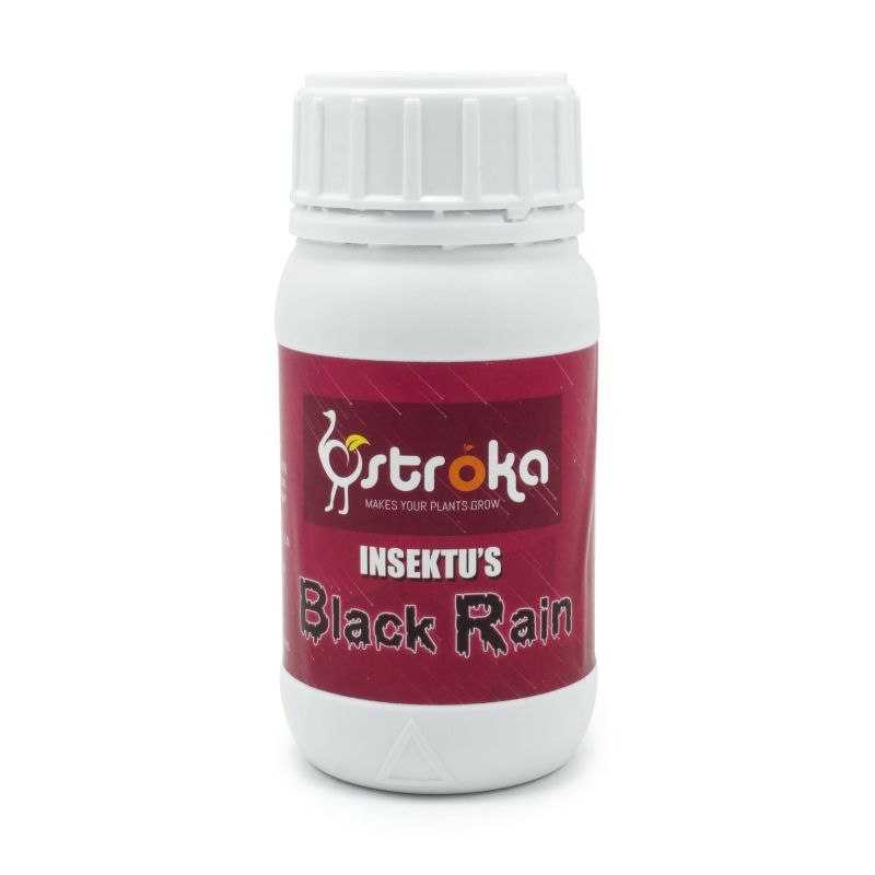 BLACK RAIN 250 ML.