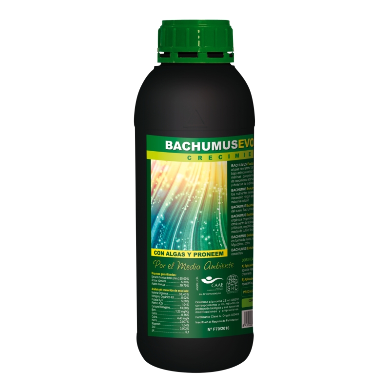 BACHUMUS EVOLUTION GROWTH 1 L.