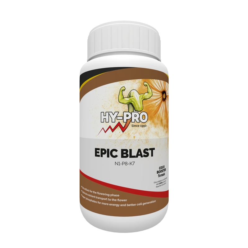 EPIC BLAST 250 ML