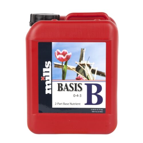 BASIS B 5 L