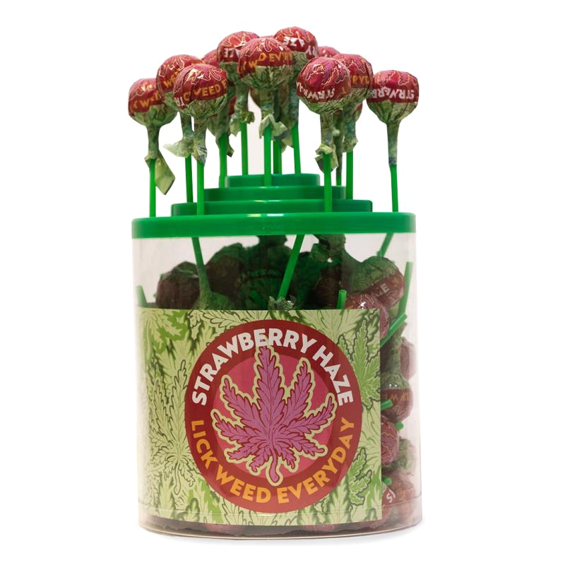 LOLLIPOP STRAWBERRY HAZE (DRUM 100 UDS / 14 GR)