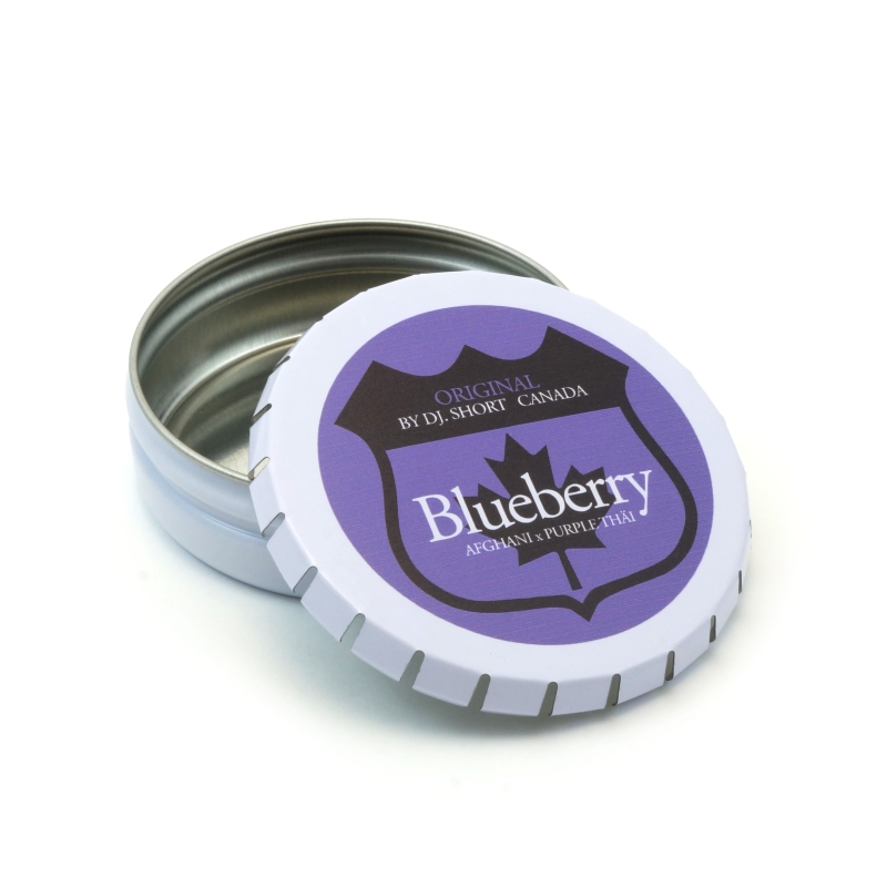 BLUEBERRY BOX