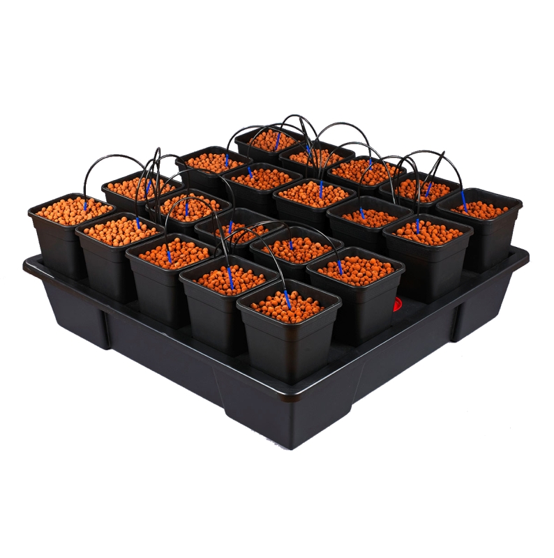 WILMA XXL 20 (20 X 6L)