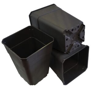 ALBER BLACK POT SQUARE-SHAPED 113x13x13 - 1,65 L (PACK 396 UNITS)