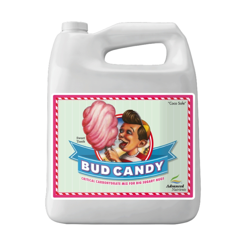 BUD CANDY 4L