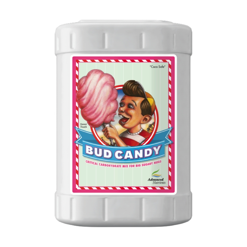 BUD CANDY 23L