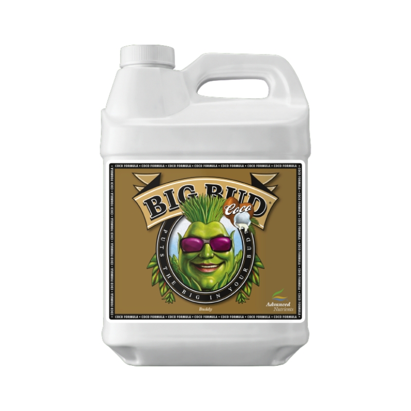 BIG BUD COCO LIQUID 250ML