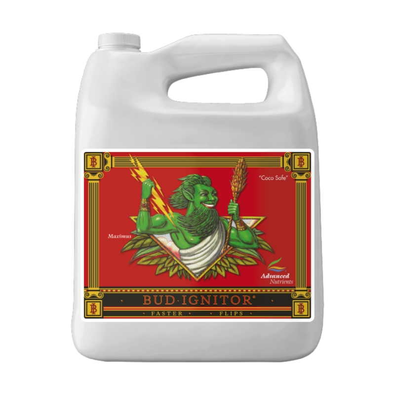 BUD IGNITOR 4L