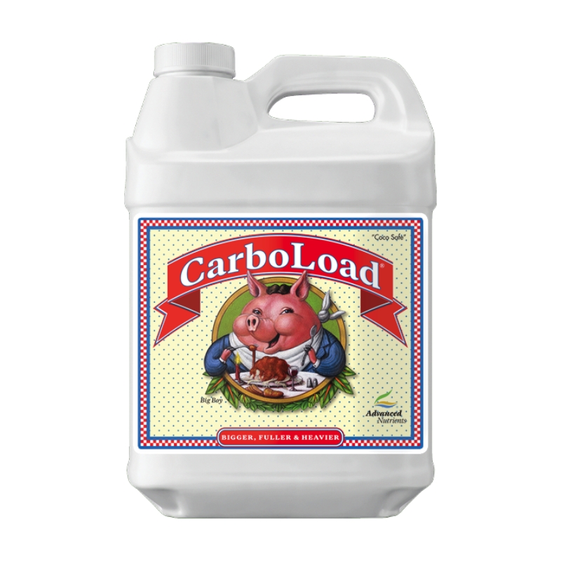 CARBOLOAD LIQUID 10L