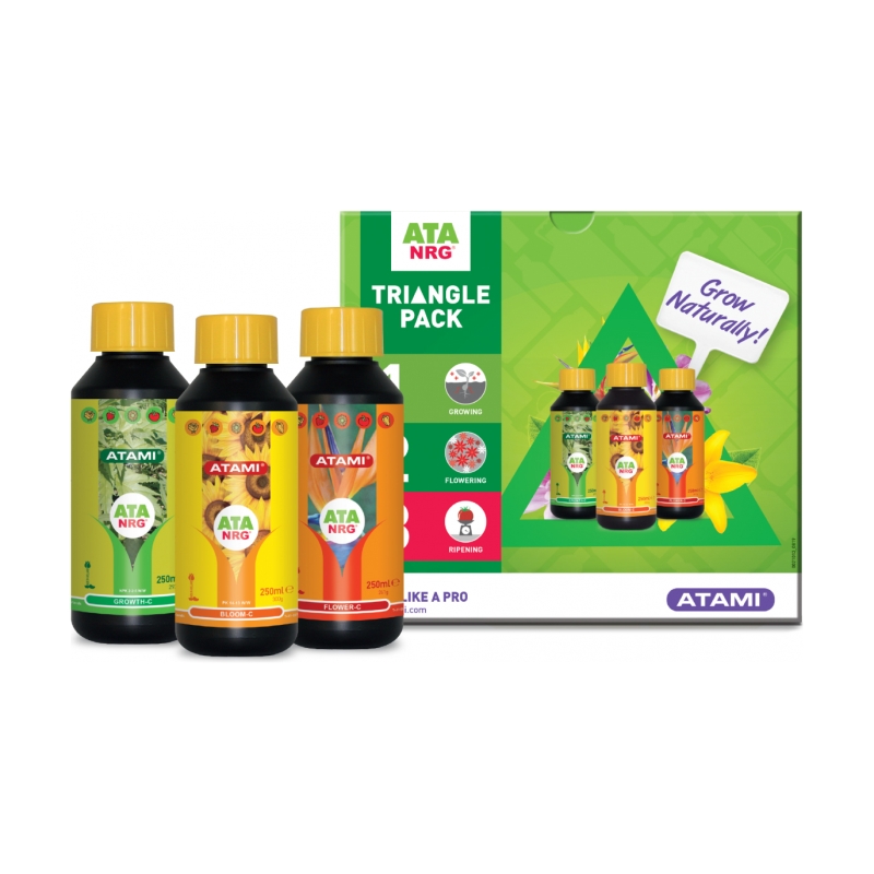 TRIANGLE PACK