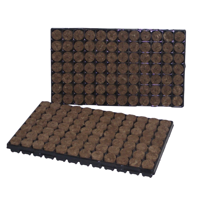 BOX 11 TRAYS 84 PLUGS 38x40mm SPEEDGROW GREEN (11 UNITS)