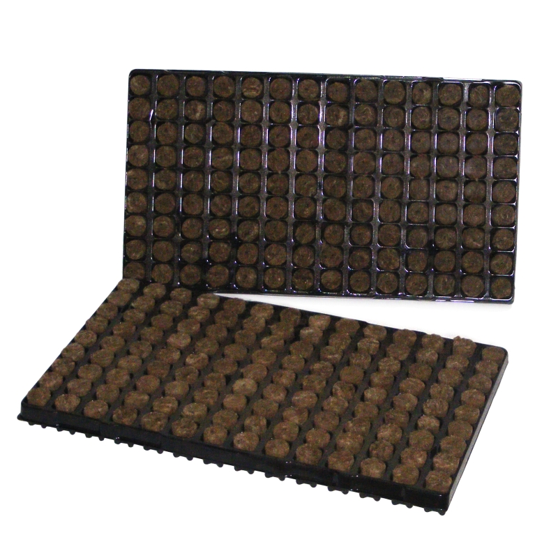 BOX 11 TRAYS 126 PLUGS 28x40mm SPEEDGROW GREEN (11 UNITS)
