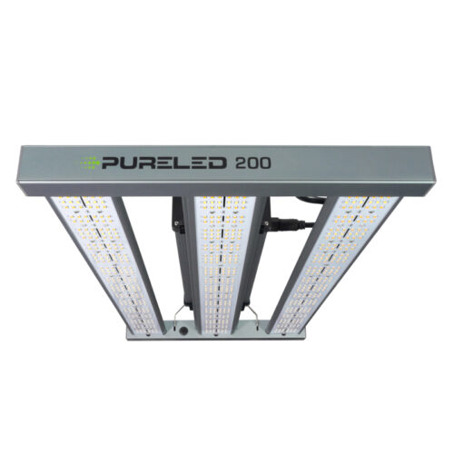 PURE LED 200W