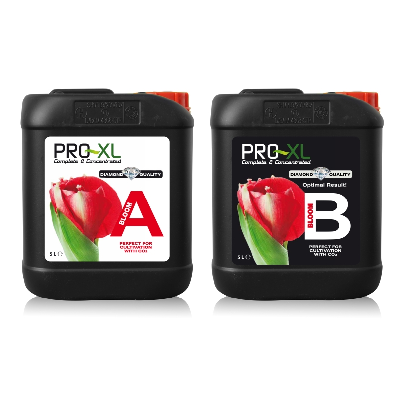 BLOOM A&B 5L