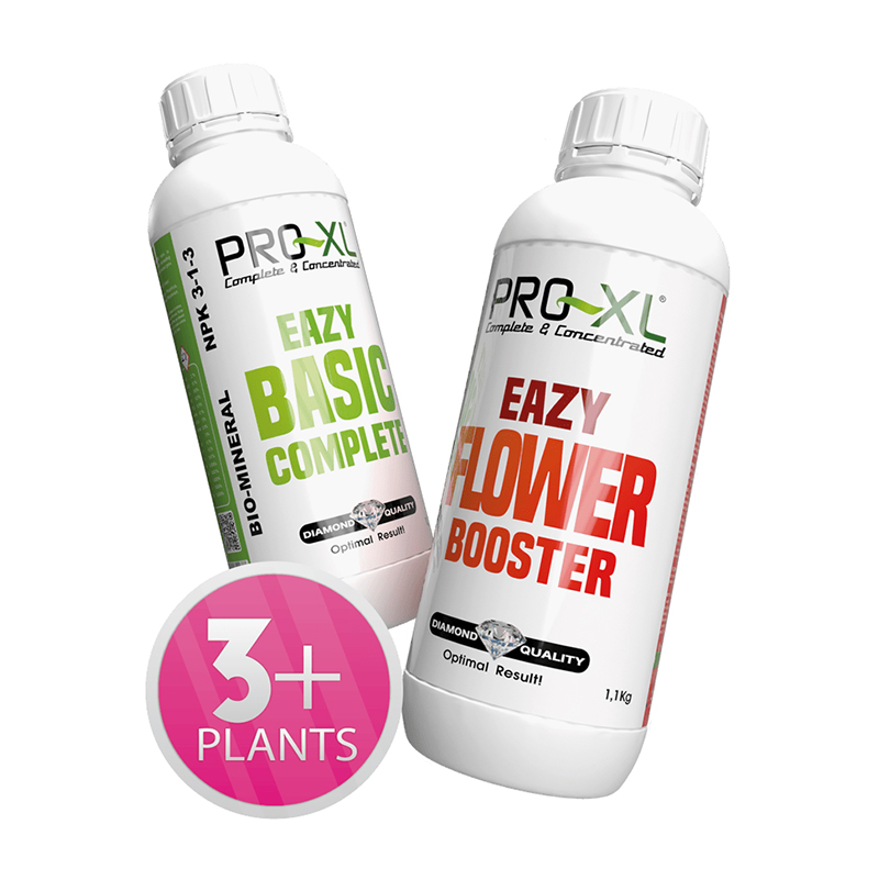 EAZY PACK BASIC + BOOSTER