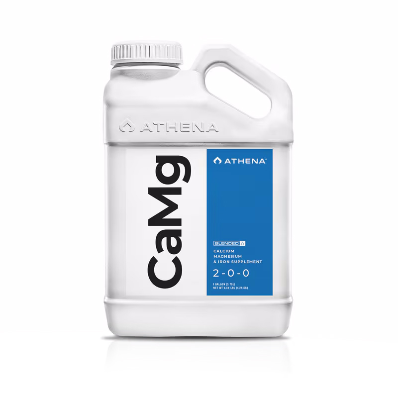 ATHENA - CAMG  3.78L