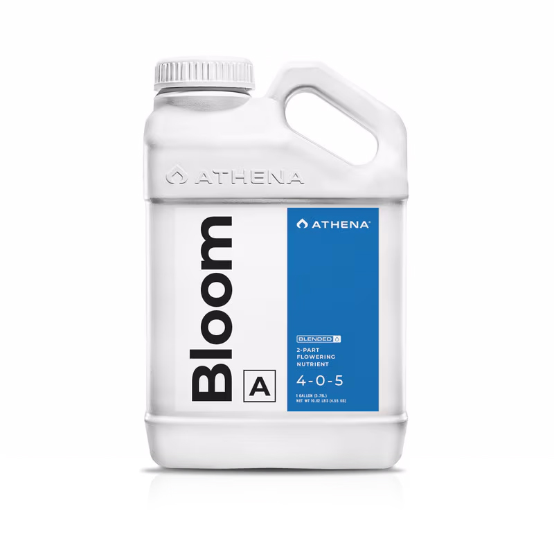 ATHENA - BLOOM A 3.78L