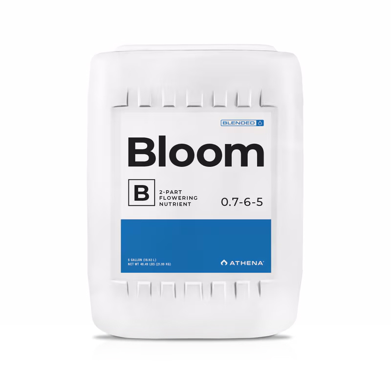 ATHENA - BLOOM B 18.92L