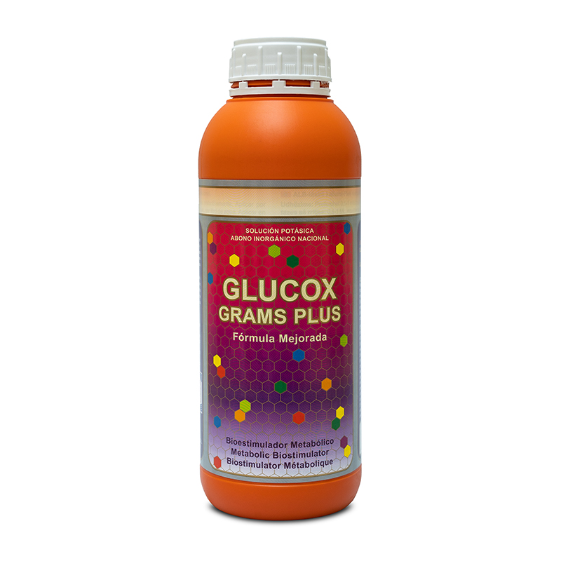 GLUCOX GRAMS PLUS 5L