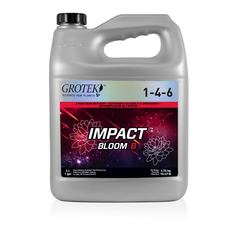 IMPACT BLOOM  B 4 L GROTEK