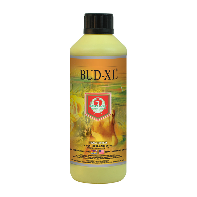 BUD XL 500ML HOUSE & GARDEN