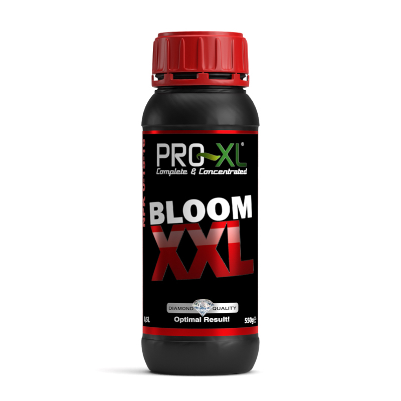 BLOOM XXL 500ML