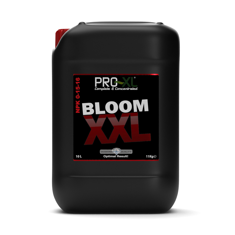 BLOOM XXL 10L
