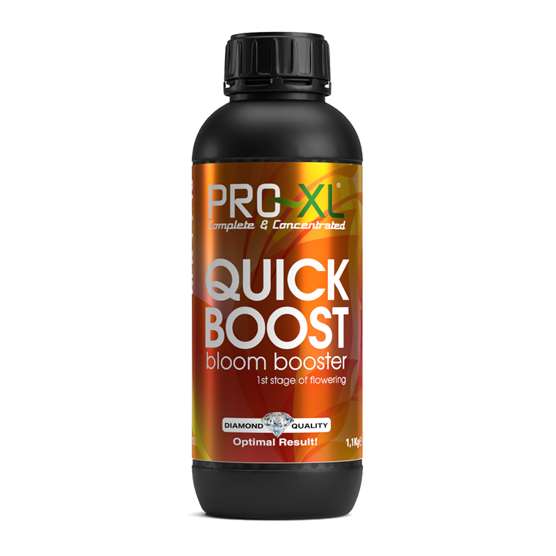 QUICK BOOST 1L