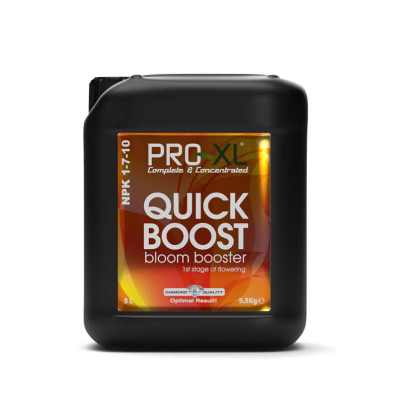 QUICK BOOST 5L
