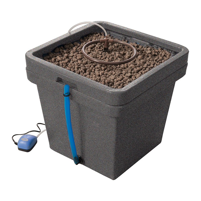 CULTIMATE L BOX TERRA AQUATICA