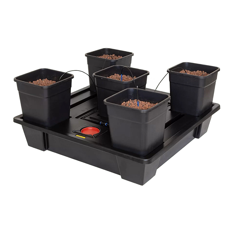 KIT BOX WILMA XXL 5 (25L)