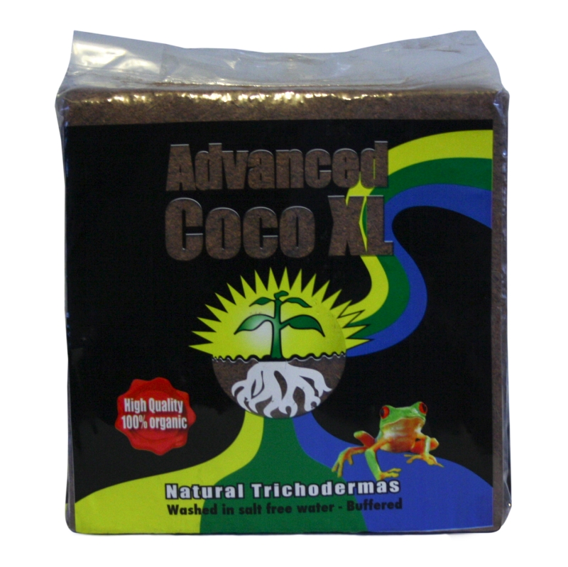 ADVANCED COCO XL
