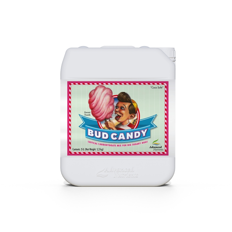 BUD CANDY 5L