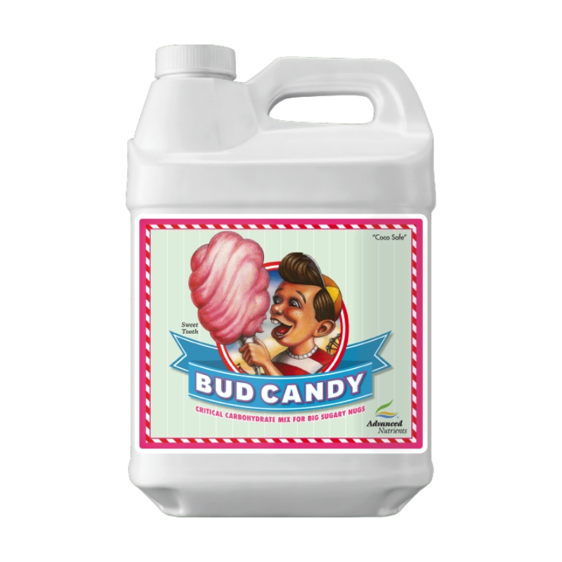 BUD CANDY 10L