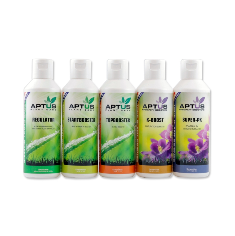 FRENCH LABEL INDOOR SET BASIC 5 X VARIOUS