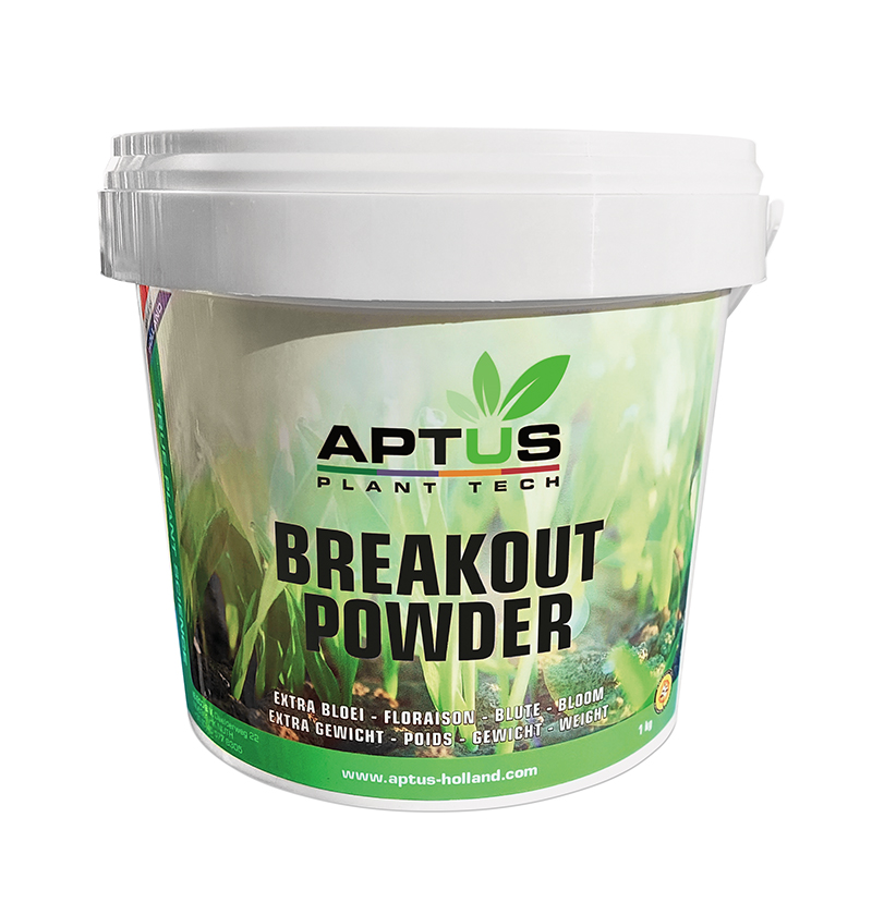 BREAKOUT POWDER 1KG