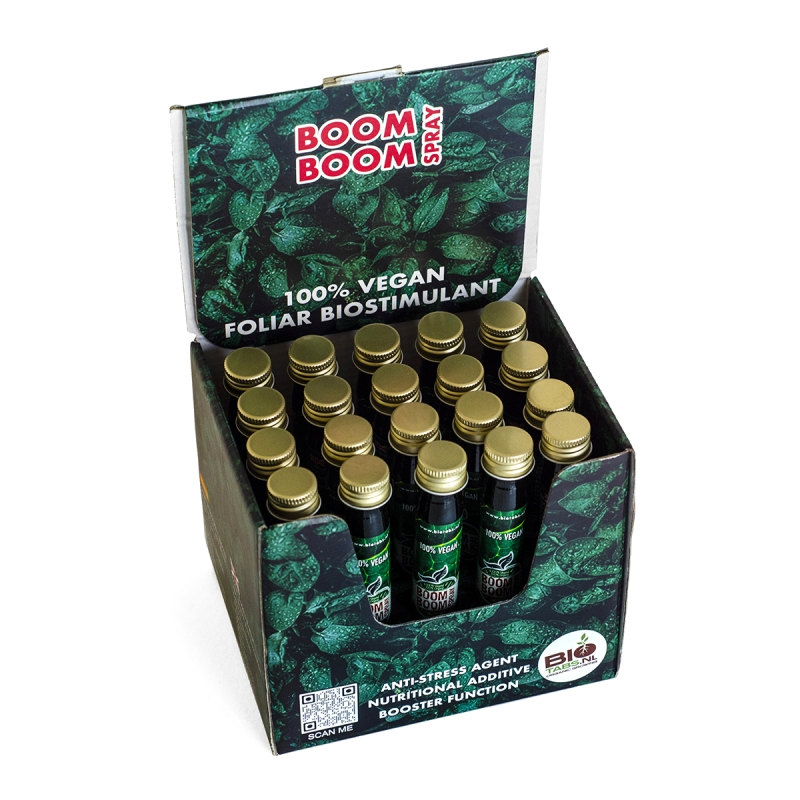 BOOM BOOM SPRAY 20ML (DISPLAY-BOX 20 UNITS)