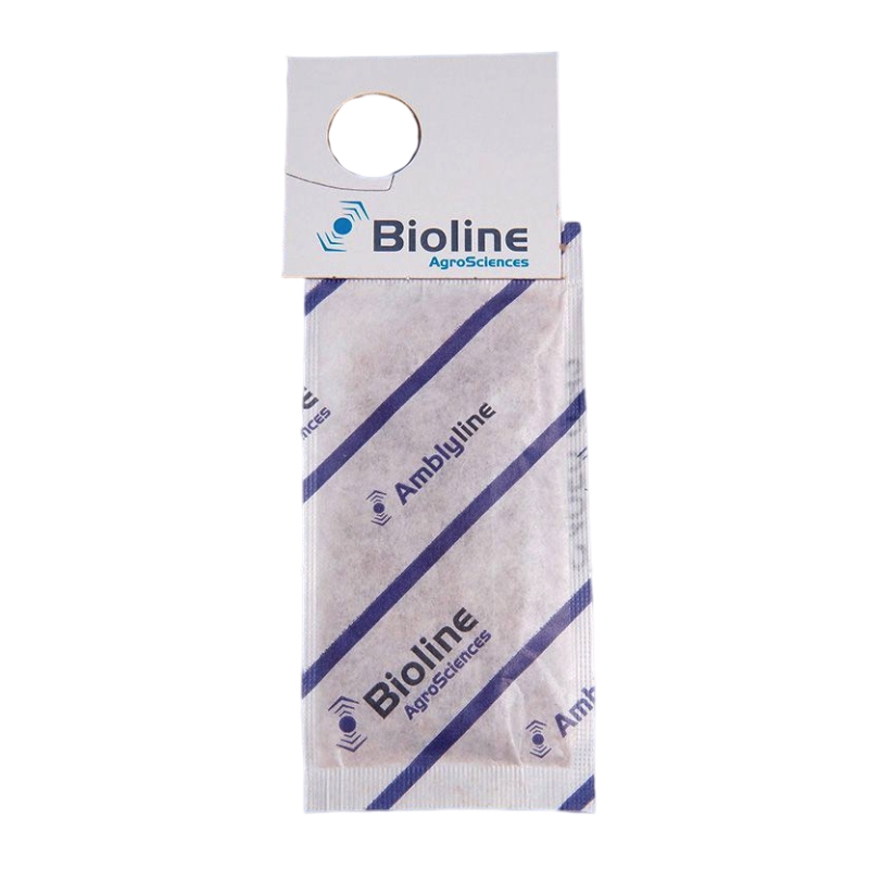 AMBLYLINE - AMBLYSEIUS CUCUMERIS/500 - BOX 400 MINI ENVELOPES - 200,000 INDIVIDUALS (TRIPS)