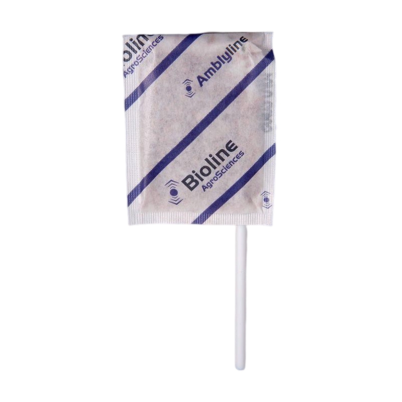 AMBLYLINE - AMBLYSEIUS CUCUMERIS/250 - BOX 500 ENVELOPES STICK - 125,000 INDIVIDUALS (TRIPS)