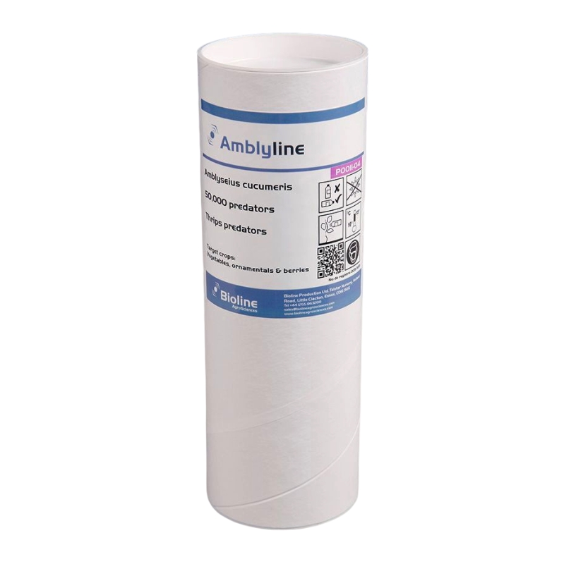 AMBLYLINE - AMBLYSEIUS CUCUMERIS/ POT 50.000 INDIVIDUALS (TRIPS) BIOLINE AGROSCIENCES