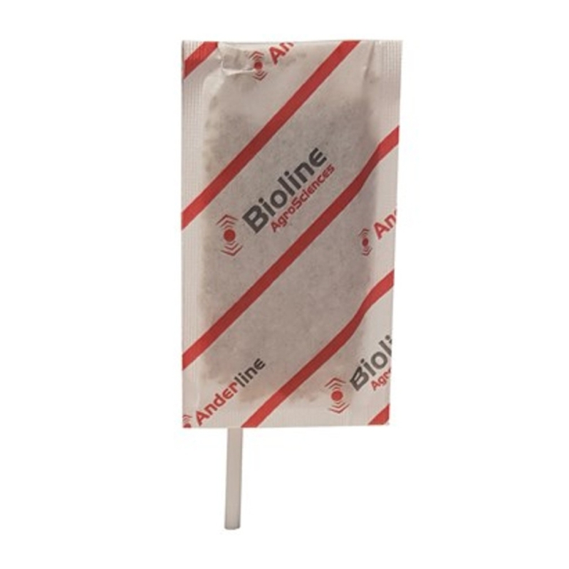 ANDERLINE - AMBLYSEIUS ANDERSONI/125 - 200 ENVELOPES STICK-25,000 INDIVIDUALS (RED AND WHITE SPIDER)