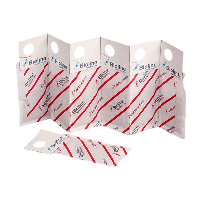 CALIFORNILINE - AMBLYSEIUS CALIFORNICUS/250 - 100 ENVELOPES GEMINI - 25,000 INDIVIDUALS (RED SPIDER)