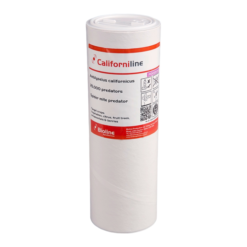 CALIFORNILINE - AMBLYSEIUS CALIFORNICUS/POT 25,000 INDIVIDUALS (RED SPIDER) BIOLINE AGROSCIENCE