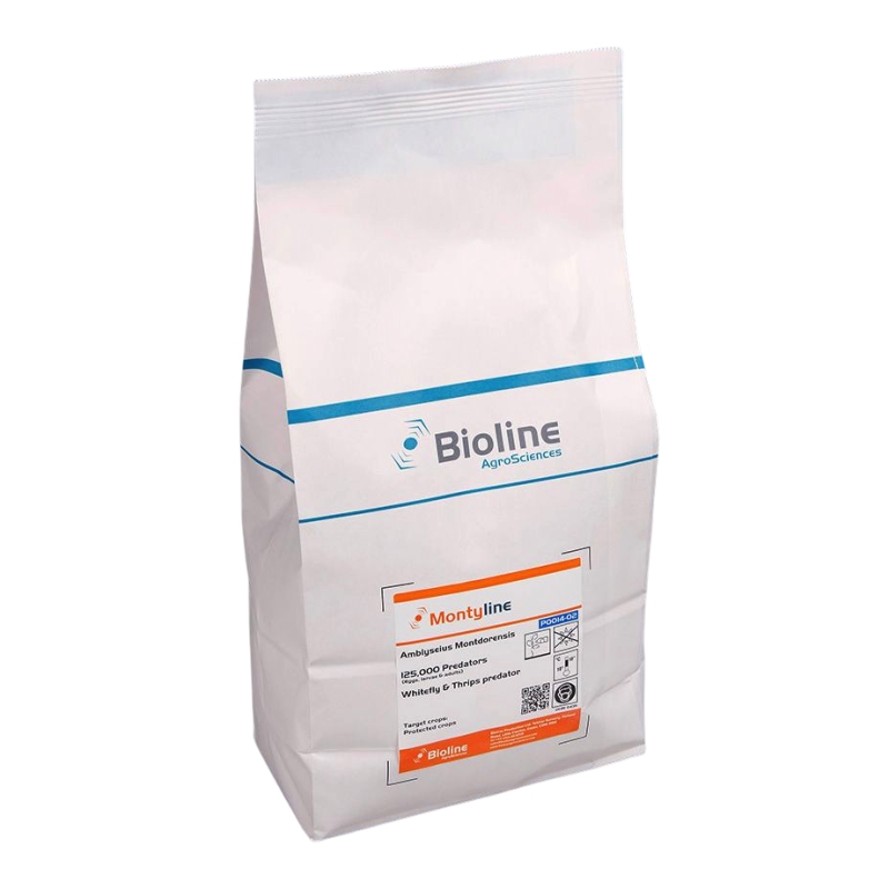 MONTYLINE -AMBLYSEIUS MONTDORENSIS/ BAG 125,000 INDIVIDUALS (THRIPS AND WHITEFLY)