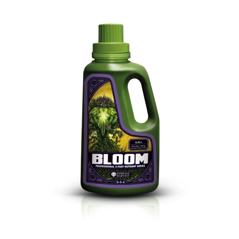 BLOOM (0,95L) (MULTI LANGUAGE)