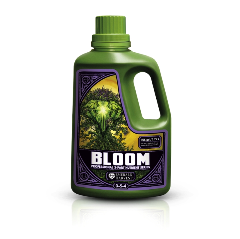 BLOOM (3,79L) (MULTI LANGUAGE)